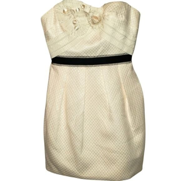 BCBG Maxazria Strapless Mini Dress With Pockets Size 2 - Picture 1 of 6